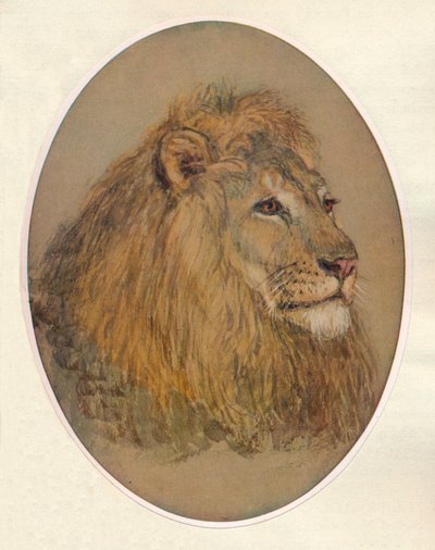 Lions Head, c1896 tekijältä Frank Paton