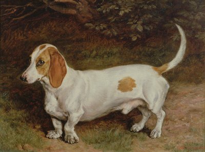 Suosikkimäyräkoirani, 1885 tekijältä Frank Paton