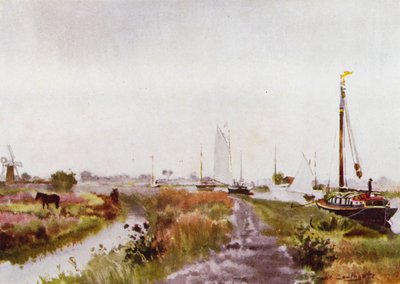 Norfolk Broads: Below Potter Heigham (väri litho) tekijältä Frank Southgate