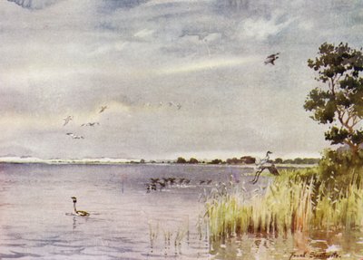 Norfolk Broads: Horsey Mere tekijältä Frank Southgate