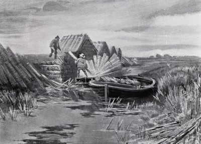 Norfolk Broads: Reed-stacking (litho) tekijältä Frank Southgate