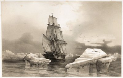 Corvette "La Recherche" lähellä Bear Islandia 7. elokuuta tekijältä François Auguste Biard