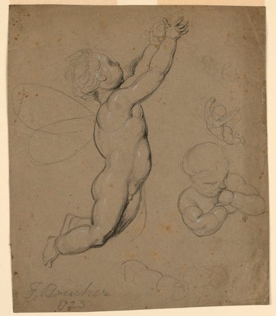 Putin tutkimukset tekijältä François Boucher