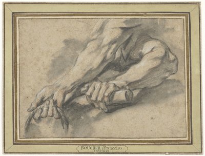 Kahden kyynärvarren tutkimukset tekijältä François Boucher