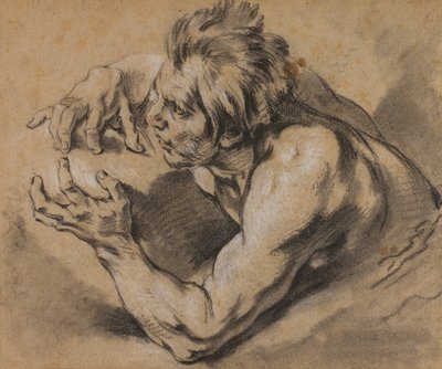 Tritonin tutkimus tekijältä François Boucher