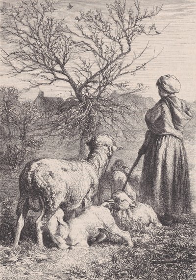 Paimentar, n. 1852. tekijältä François Rouget