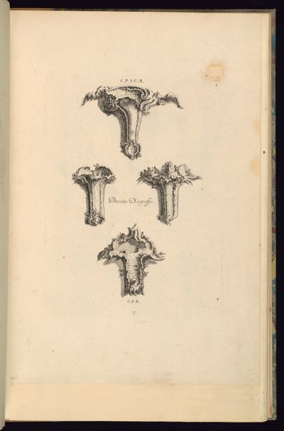 Staple Designs tekijältä François de Cuvilliés the Elder