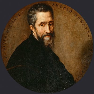 Michelangelo Buonarroti Michel-Angessa tekijältä Frans Floris