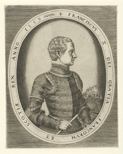 Fransis II:n muotokuva Ranskasta 1544-1560, 1559 tekijältä Frans Huys