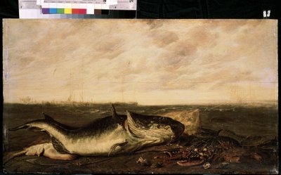 Kalaa ja hummeria rannalla (kalaa ja hummeria meren rannalla). Frans Ryckhalsin maalaus (1600-1647 jälkeen). Öljy kankaalle, 47 x 83,5 cm tekijältä Frans Ryckhals