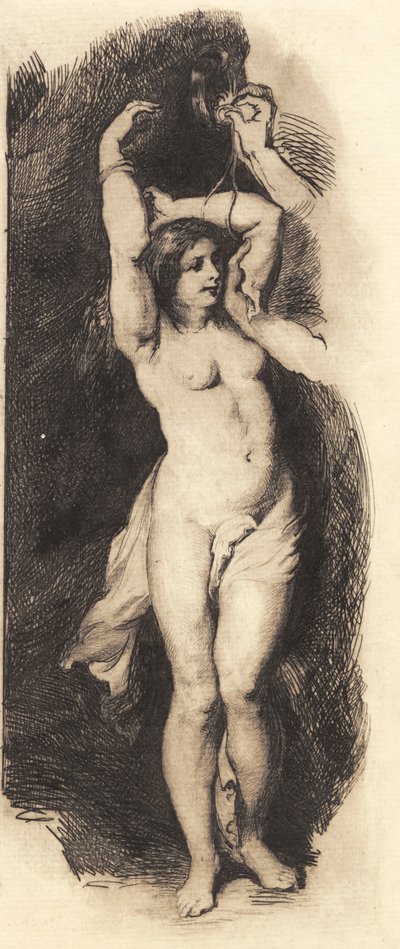 Andromeda Rubensin jälkeen tekijältä Frans Schwartz