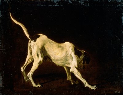 Koira, 1600-luku tekijältä Frans Snyders or Snijders