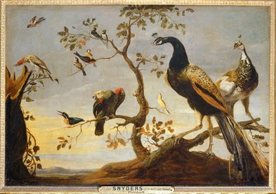 Poseaux oksilla ... tekijältä Frans Snyders