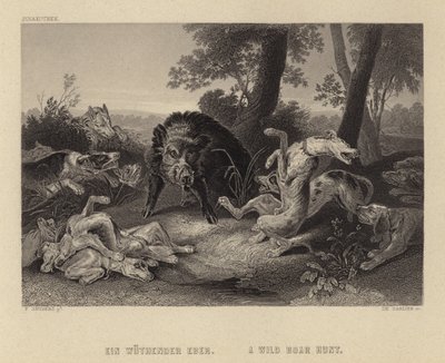 Villisian metsästys tekijältä Frans Snyders or Snijders