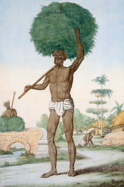 Hindupalvelija leikkaa ruohoa, "Hindust tai kuvaus heidän tapoistaan, pukuistaan ja seremonioistaan", n. 1808-1812 (värillinen etsaus) tekijältä Franz Balthazar Solvyns