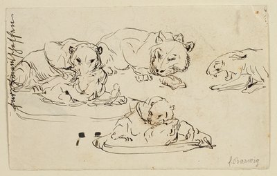 Torjuvat Sundapanthers tekijältä Franz Barwig d. Ä.