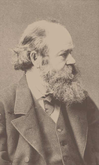 Muotokuva säveltäjä Robert von Hornsteinista 1833-1890. tekijältä Franz Hanfstaengl