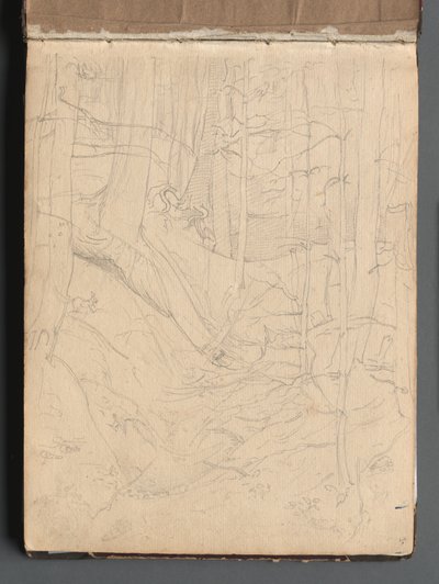 Albumi näkymistä Roomaan ja ympäristöön, Maisematutkimukset, sivu 01a: Roman Landscape. tekijältä Franz Johann Heinrich Nadorp