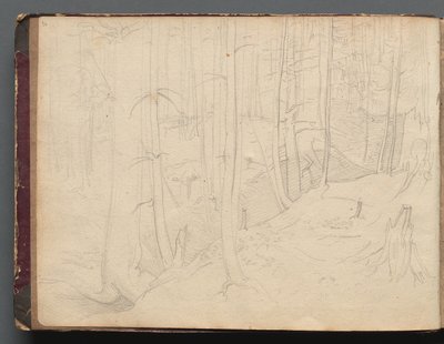 Albumi, jossa on näkymiä Roomasta ja sen ympäristöstä, maisemakuvauksia, sivu 01b: Roomalainen maisema tekijältä Franz Johann Heinrich Nadorp