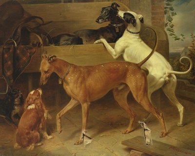 Krugers Dogs, 1855 tekijältä Franz Krüger