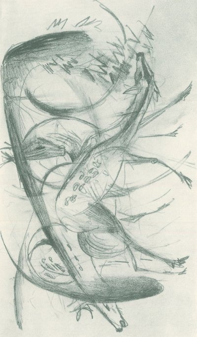 Franz Marc - Luonnoslehti kentältä - Sheet 36 tekijältä Franz Marc