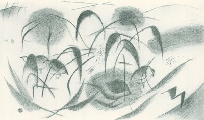 Helmikanat tekijältä Franz Marc