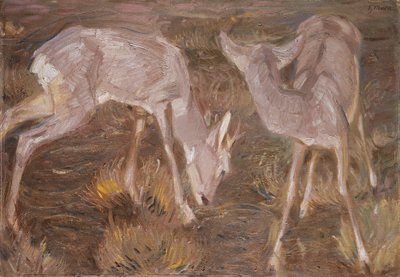 Metsäkauriita hämärässä tekijältä Franz Marc
