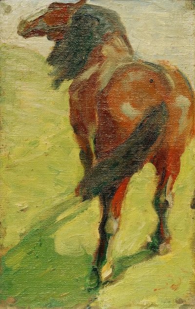 Studie eines Pferdes tekijältä Franz Marc