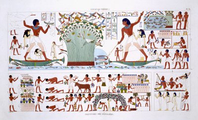 Ruoan valmistaminen Deadille, harvinaisista Theban freskoista, jotka Frederic Cailliaud (1787-1869) nauhoitti toisella Egyptin vierailullaan 1819-1822, väri litho tekijältä Frederic (after) Cailliaud