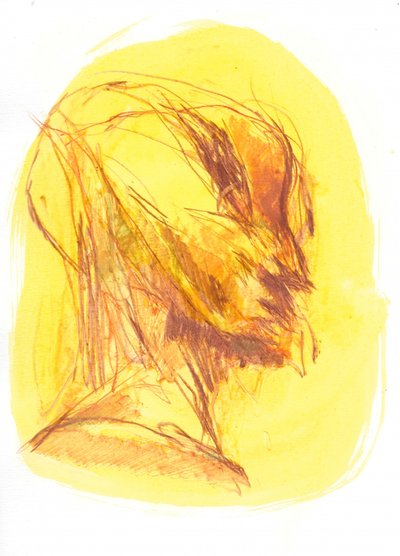  tekijältä Frederic Belaubre
