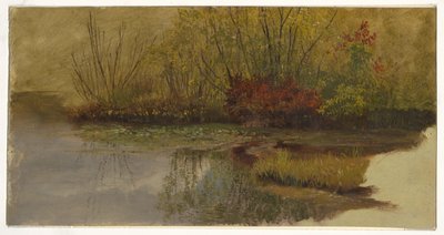 Lammen kulma tekijältä Frederic Edwin Church