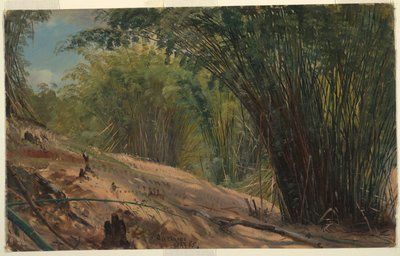 Bamboo Grove, Jamaika tekijältä Frederic Edwin Church