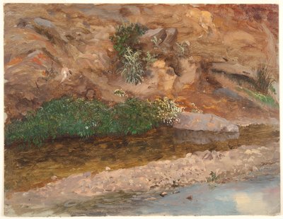 Bank of a Stream tekijältä Frederic Edwin Church
