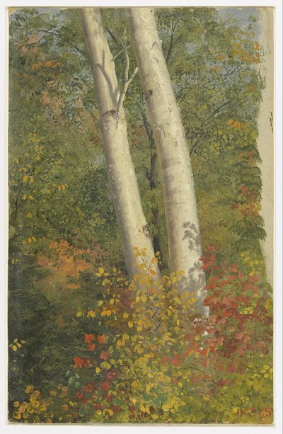 Koivut syksyllä tekijältä Frederic Edwin Church