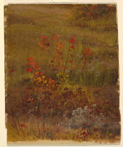 Kasvitieteelliset tutkimukset tekijältä Frederic Edwin Church