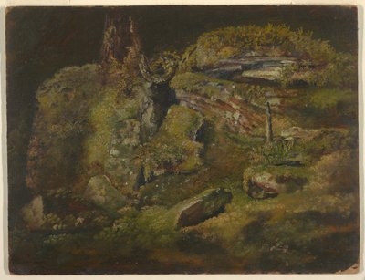 Boulder in the Woods tekijältä Frederic Edwin Church