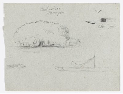 Ceiba-puu Momposissa, Champan-kanootti, puita ja osittainen vene, Rio Magdelena, Kolumbia tekijältä Frederic Edwin Church