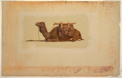 Kyyryilevä Dromedary tekijältä Frederic Edwin Church