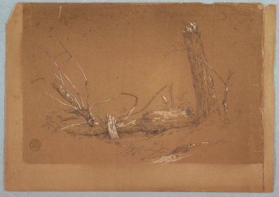 Piirros, Murtunut kuollut puu, 1855-65 tekijältä Frederic Edwin Church