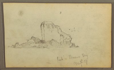 Piirros, Bireds, "Kallio Panamanlahdella"; Kääntöpuoli: "Raskas köynnös", 15. toukokuuta 1857. tekijältä Frederic Edwin Church