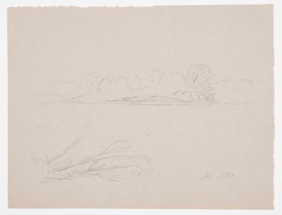 Piirustus, Kasvitieteellisiä luonnoksia: maisema, puita rannalla, syyskuu 1876 tekijältä Frederic Edwin Church