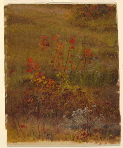 Piirustus, Kasvitieteellisiä tutkimuksia, lokakuu 1865 tekijältä Frederic Edwin Church