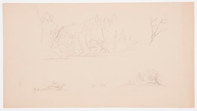 Piirustus, Kasvitieteellisiä luonnoksia: puu, puita rannalla, syyskuu 1876 tekijältä Frederic Edwin Church