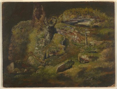 Piirros, Kivenlohkare metsässä, n. 1845. tekijältä Frederic Edwin Church