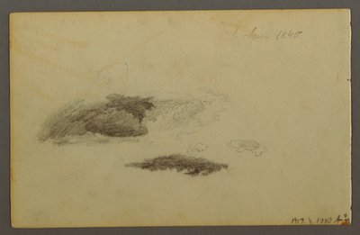 Piirros, lahonnut koivu, 1844 tekijältä Frederic Edwin Church