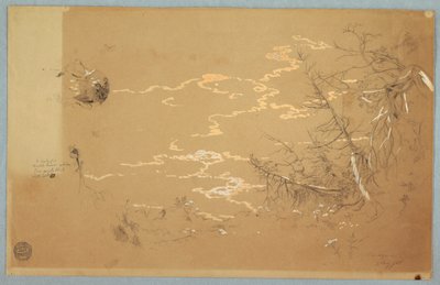 Piirustus, yksityiskohtainen näkymä Kanadan pankin reunasta, elokuu 1858. tekijältä Frederic Edwin Church