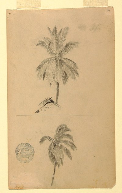 Piirustus, Piirustukset.  Kaksi luonnosta.  Palmut., 1857 tekijältä Frederic Edwin Church