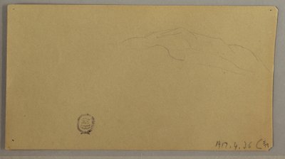 Piirros, Kukkivat kasvit, n. 1856 tekijältä Frederic Edwin Church
