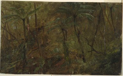 Piirros, Jamacian metsässä, Länsi-Intia, 1865. tekijältä Frederic Edwin Church