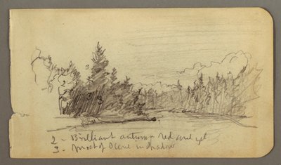 Piirros, puiden ympäröimä järvi, mahdollisesti 1878 tekijältä Frederic Edwin Church